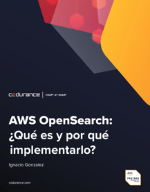 AWS Open Search ebook cover ES