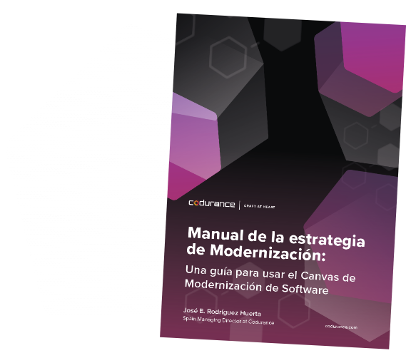 Manual de la estrategia de Modernización_1